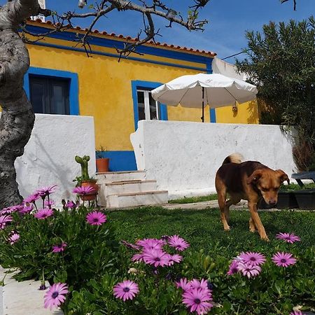Monte Da Ti Luzia Villa FAO Exterior photo